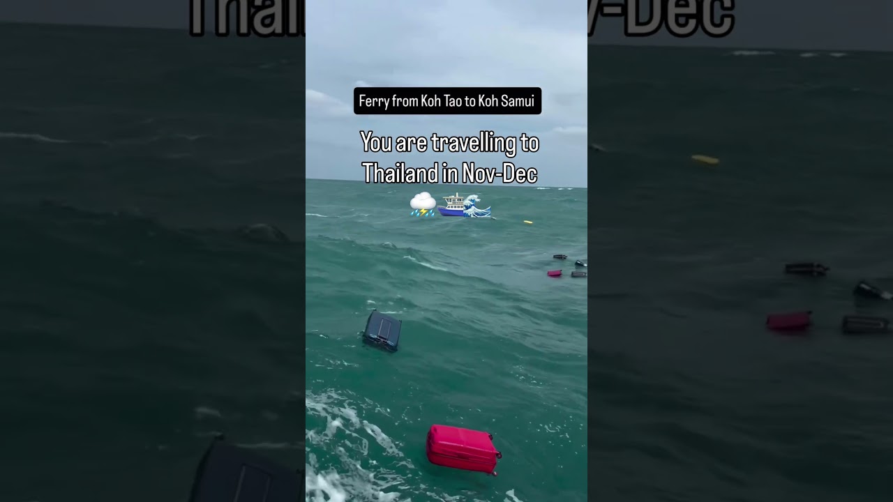 Ferry travel in Nov–Dec can get extra rough here 🌊 