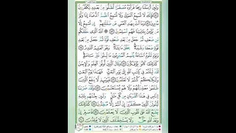 #سورة الروم#الآيات_٥٩_٦٠#تلاوة الشيخ أيمن سويد #قليل دائم خير