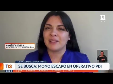 Anal jinsiy aloqadan oldin tayyorgarlikni koring Onlayn pornodagi oriq qiz