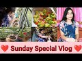 Vlog 23  sunday special vlog  simple  tasty broccoli recipe  rajanis creation 