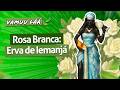 Vamuu láá - Rosa Branca | Ep. 324 Diário do Médium