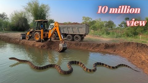 🟡 Jcb 3DX Machine Backhoe Loading king cobras snake Jcb Working Video 🟡 #jcbvideo #snake #trending