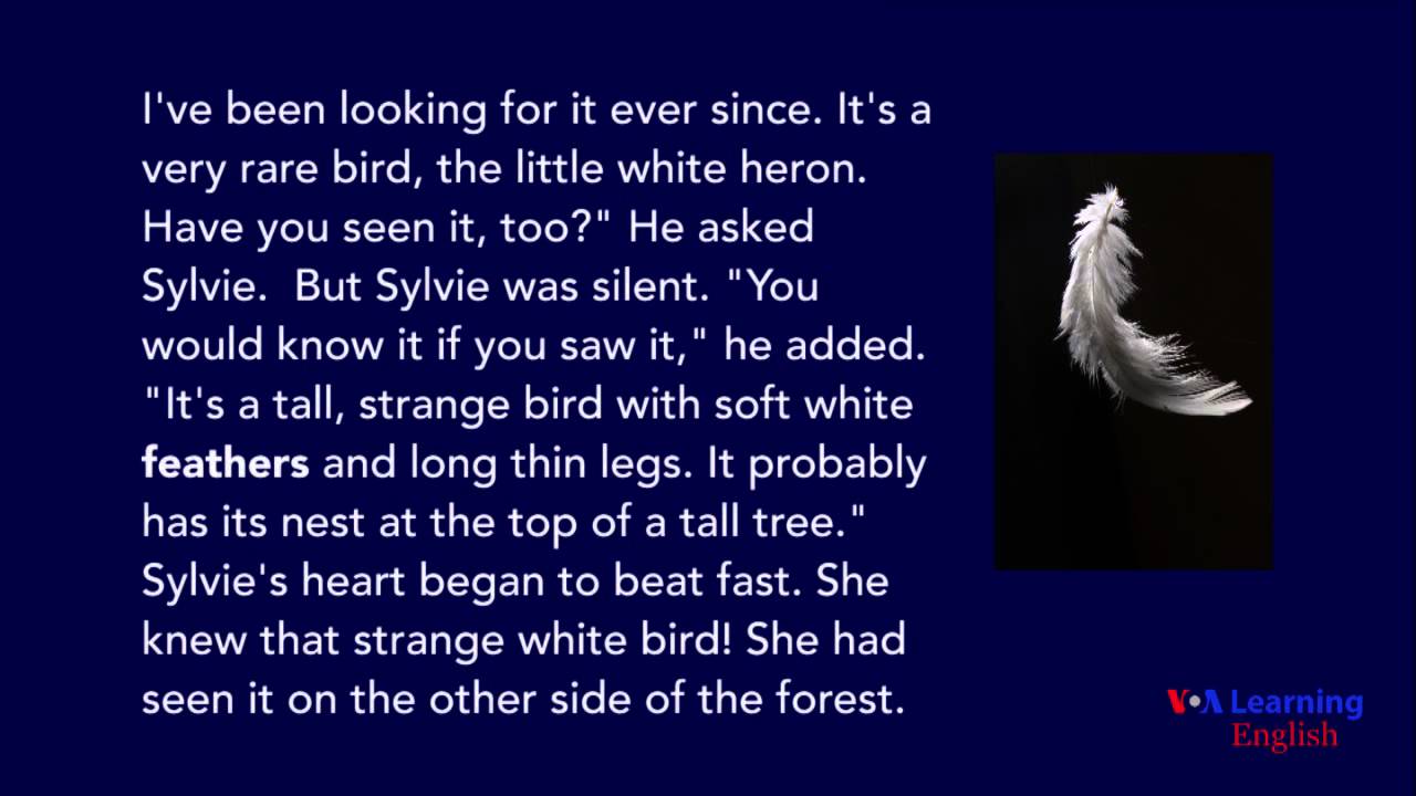 A White Heron learning english for beginners