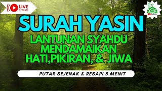 ( LIVE ) Surah Yasin FULL : Lantunan Indah yang Menyentuh Jiwa