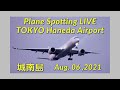 【HANEDA Airport Live】JAL998 ゴーアラウンド 羽田空港ライブ 城南島から羽田空港への離着陸機をライブ配信中！【Kumasan Airlines TV】