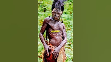 Does Neanderthal DNA Still Exist Today? 🧬