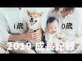 1歳の柴犬と、一緒に育った0歳娘の成長記録【2019総集編】