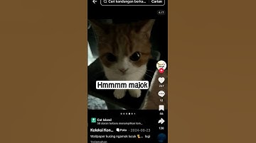 Thumbnail of komen tau hmmm majok