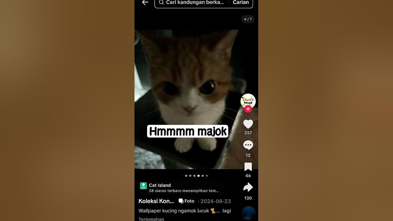 komen tau hmmm majok