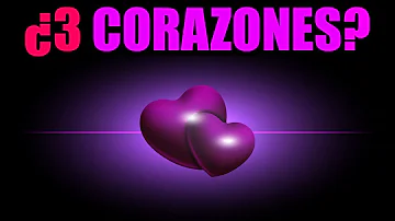 ¿Qué animal tiene 2 corazones?