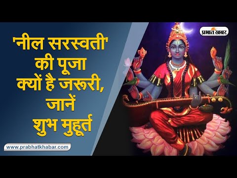 'नील सरस्वती' की पूजा क्यों है जरूरी, जानें शुभ मुहूर्त I basant panchami 2021 shubh muhurat