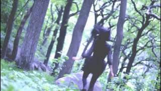 FUN∃RᐃL ‡ FLØW∃RS ☿ Pợigr△j ☾o Mnøj ♄