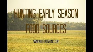Deer Hunting Over Soybeans, Early Season Hunting Strategies