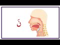 مخرج الحروف ل ر ن
