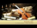 Lo Schiaccianoci (Valzer dei Fiori) - Tchaikovsky