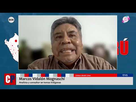 PANORAMA Y ACTIVIDADES DELICTIVAS EN LA AMAZONÍA