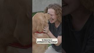 How to Become a Professional Dog Trainer: 3 Quick Tips