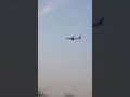 Chasing Flights