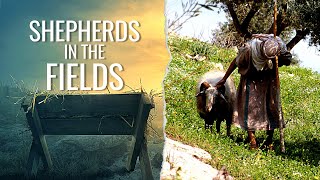 The Shepherds in the Fields | Pastor Allen Nolan Sermon