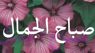 صباح الجمال 💖 حالات واتس اب روووعة 🌳للصباح 🌹