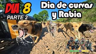 Nos siguen los perros!!! con Tiritas y Bolsitos