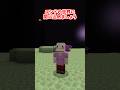 道を塞いでくる奴の末路 #minecraft