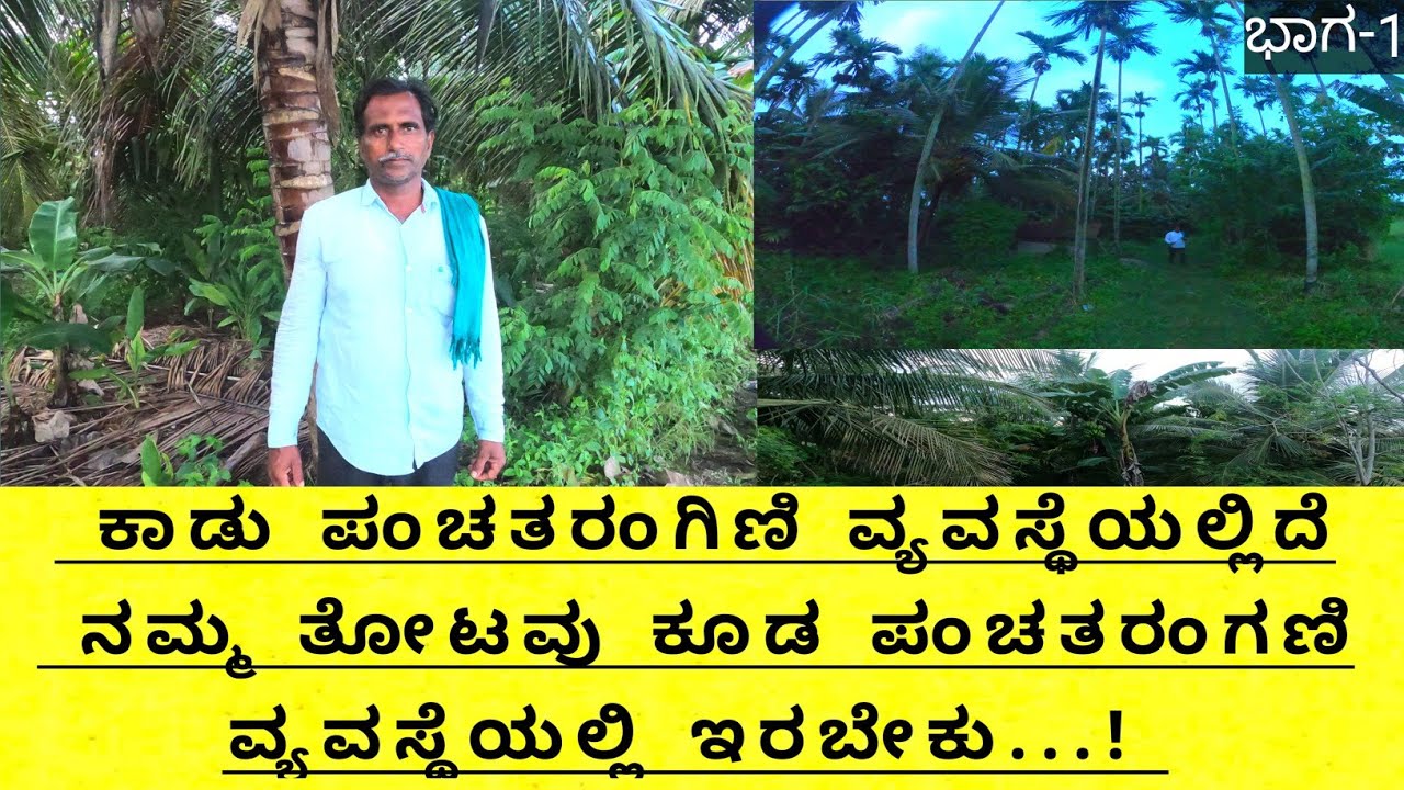 ಕಾಡಿಗೆ ಹೋಗಿ ನೋಡಿಕೊಂಡು ಬನ್ನಿ ಅಲ್ಲಿ ಯಾರ ಹಸ್ತಕ್ಷೇಪನೂ ಇಲ್ಲ ಎಷ್ಟು ಚೆನ್ನಾಗಿದೆ. ತೋಟದಲ್ಲಿಯೂ ಹಾಗೆ ಹಾಕಿ ಸುಮ್ಮ.