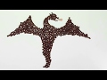 Coffee Beans DRAGON | STOP MOTION ANIMATION