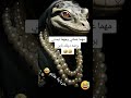 مهما عملتي ضحك Funny مهما عملتي ضحك Funny