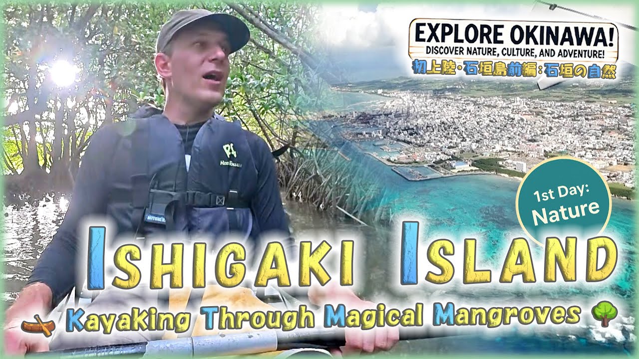 【Ishigaki Island Nature】第五十旅「🌿石垣島・第一弾！大自然へ──🛶マングローブの静けさに包まれて✨」【🇯🇵字幕👂】