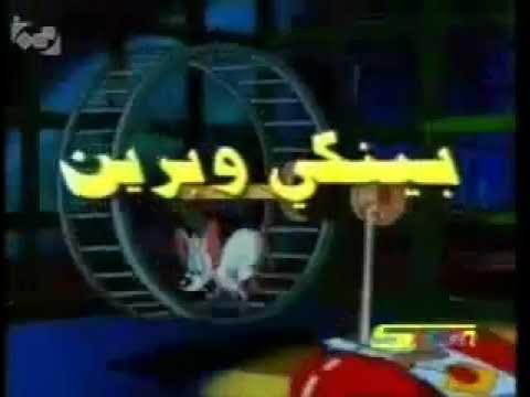 مقدمه بينكي وبرين