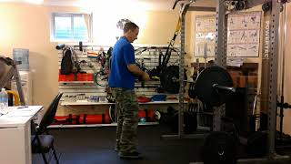 TRX Row-to-Reverse Flye