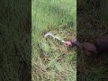 Do you know what this is for #Weeding #Mowing #Weed Removal #Daily Farming Life #Weed Remo