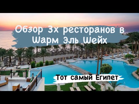 В какие рестораны сходить в Шарм Эль Шейх?