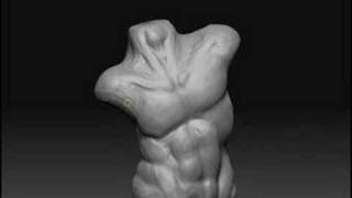 Zbrush 3 torso study 2