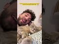 #catvideos #cat #cuteanimal #cutecat #cutepet #pets #catcute #animal #shorts