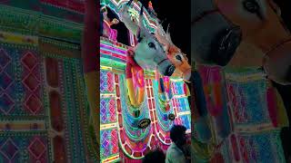 തളിയാ പറമ്പ് പൂരക്കാഴ്ചകൾ  #youtubeshorts #dance