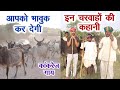 आप को भावुक कर देगी राजस्थान के कांकरेज गाय के चरवाहों की कहानी, Desi cow no shelter no food