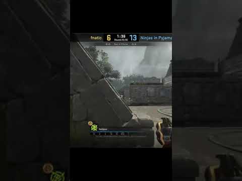 NIP hampus Ancient