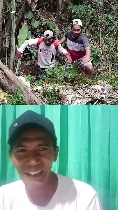 ketauwan sama yg punnya jadi dikejar - vidieo lucu ngakak #funny #comedy #lucu #ngakak