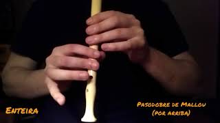 PASODOBRE DE MALLOU (2) - voz por arriba