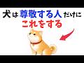 【選ばれてる？】犬が尊敬してる人だけに見せる行動 13選