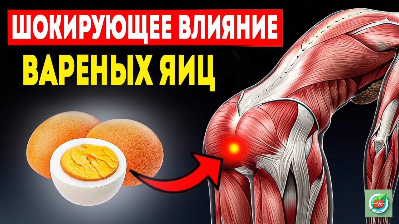 Ешь 2 ЯЙЦА в день — и вот что будет с ТЕЛОМ!