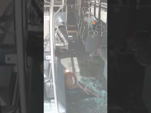 Deer crashes through bus windshield in Rhode Island | REUTERS