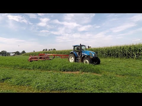 Video 4th Cutting Hay and Hoof Trimming - youtube