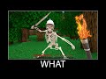 Minecraft wait what meme part 135 realistic minecraft Skeleton