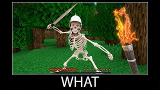 Minecraft wait what meme part 135 realistic minecraft Skeleton