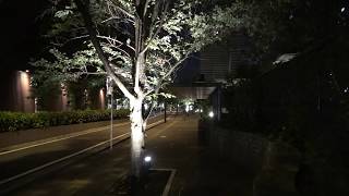 4K Musashi Kosugi night walking 武蔵小杉 Tokyo Japan