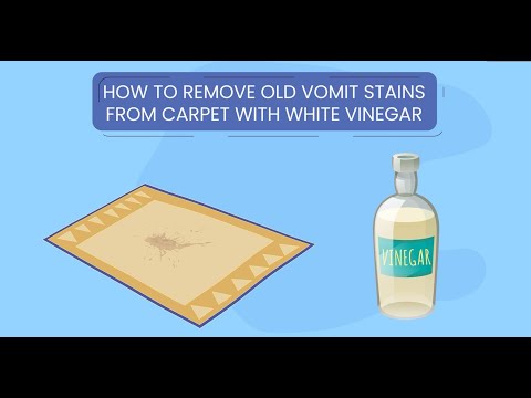 How to remove old puke stains from carpet with white vinegar