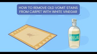 How to remove old puke stains from carpet with white vinegar